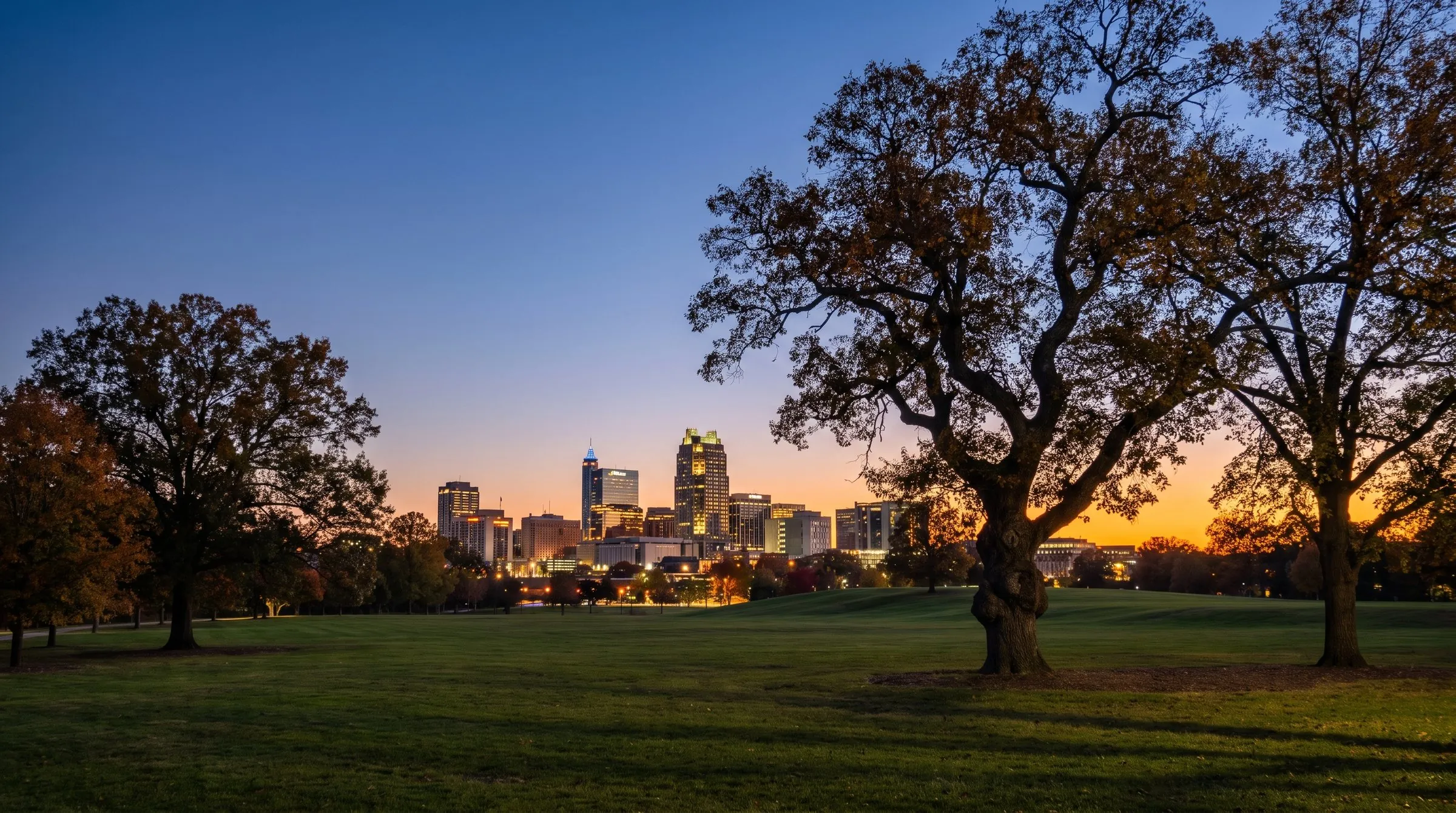 The downtown Raleigh skyline at dusk from Dorothea Dix Park