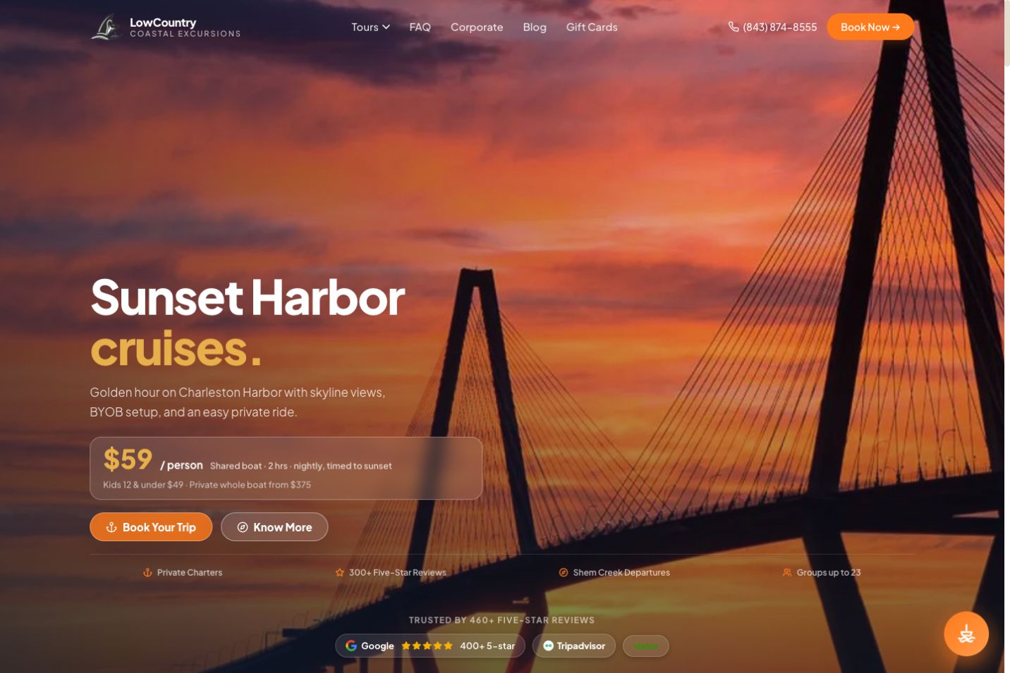 Charleston Shark Teeth Hunting website homepage